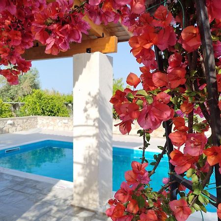 Villa Lianas Garden House Afantou Exterior foto